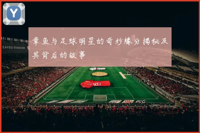 章鱼与足球明星的奇妙缘分揭秘及其背后的故事
