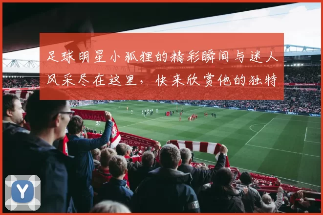 足球明星小狐狸的精彩瞬间与迷人风采尽在这里，快来欣赏他的独特魅力与精彩表现