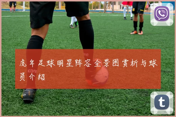 虎年足球明星阵容全景图赏析与球员介绍