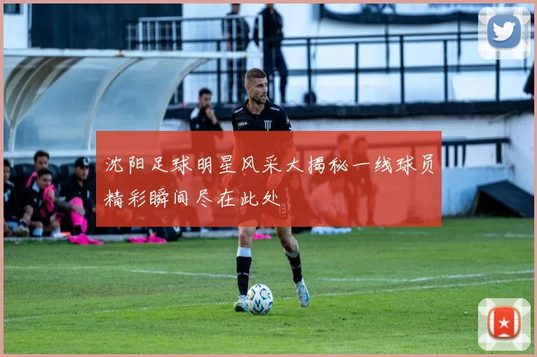 沈阳足球明星风采大揭秘一线球员精彩瞬间尽在此处