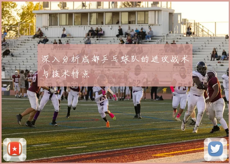 深入分析成都乒乓球队的进攻战术与技术特点