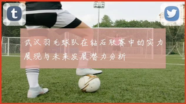 武汉羽毛球队在钻石联赛中的实力展现与未来发展潜力分析
