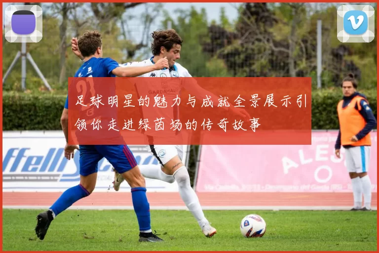 足球明星的魅力与成就全景展示引领你走进绿茵场的传奇故事