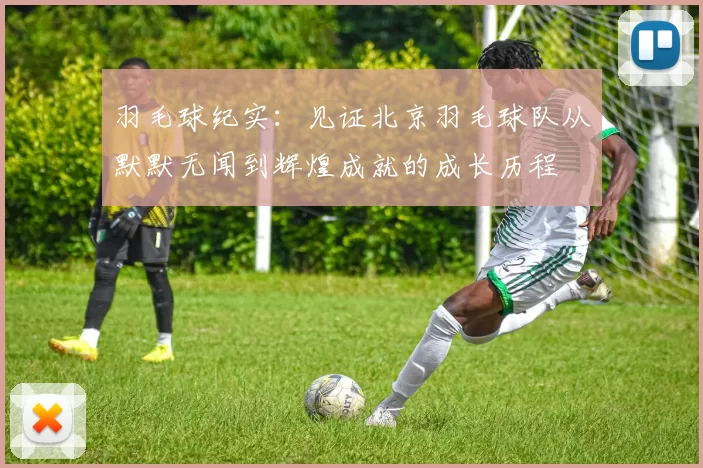 羽毛球纪实：见证北京羽毛球队从默默无闻到辉煌成就的成长历程