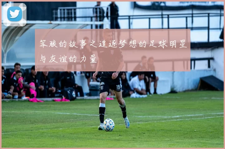 笨狼的故事之追逐梦想的足球明星与友谊的力量