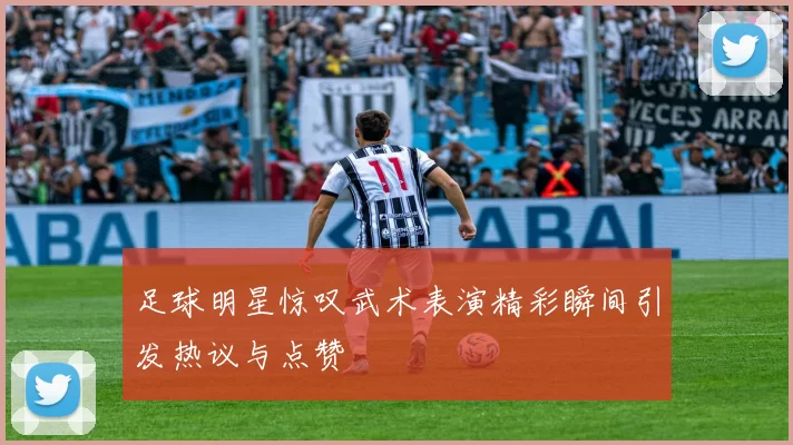 足球明星惊叹武术表演精彩瞬间引发热议与点赞
