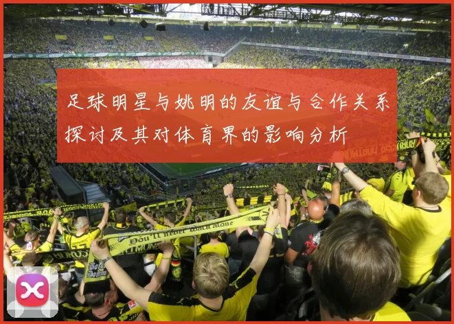 足球明星与姚明的友谊与合作关系探讨及其对体育界的影响分析