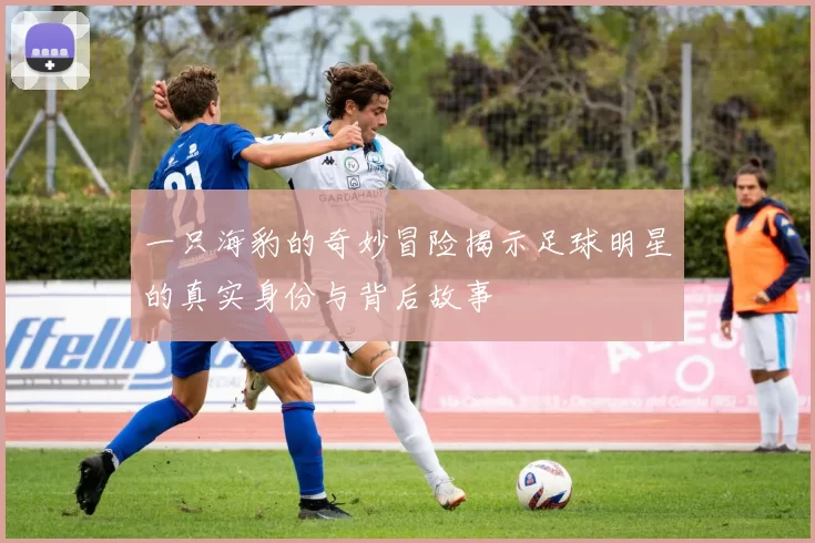一只海豹的奇妙冒险揭示足球明星的真实身份与背后故事