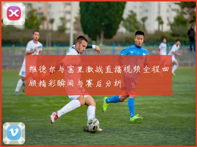 维德尔与富里激战直播视频全程回顾精彩瞬间与赛后分析