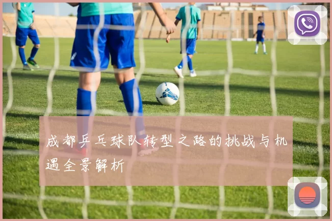 成都乒乓球队转型之路的挑战与机遇全景解析