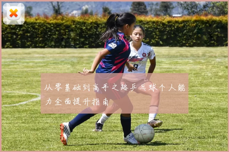 从零基础到高手之路乒乓球个人能力全面提升指南