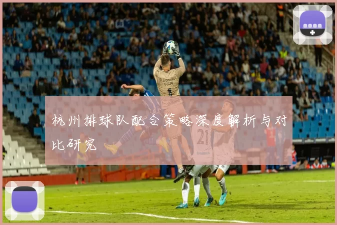 杭州排球队配合策略深度解析与对比研究