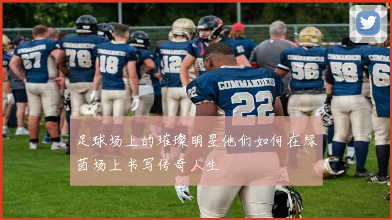 足球场上的璀璨明星他们如何在绿茵场上书写传奇人生