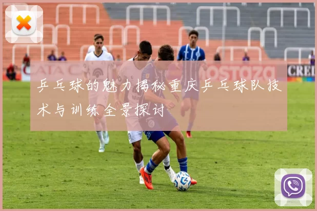 乒乓球的魅力揭秘重庆乒乓球队技术与训练全景探讨