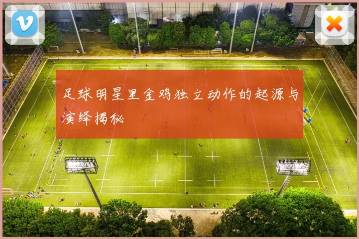 足球明星里金鸡独立动作的起源与演绎揭秘
